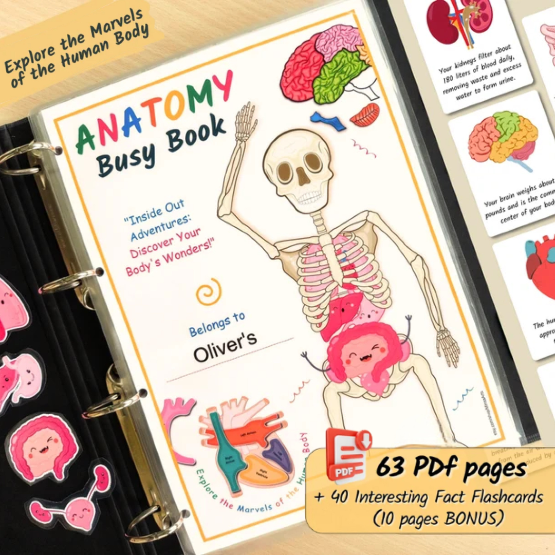 Human Anatomy Busy Book PRINTABLE Human Body Worksheets | Preschool Curriculum, Homeschool Toddler Learning Binder - PDF